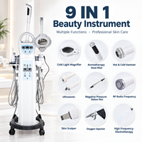 Appareil facial galvanique multifonctionnel haute fréquence 9 en 1, machine à vapeur faciale au sel professionnelle, équipement de salon de beauté