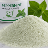 Poudre d'extrait de feuille de menthe poivrée 20:1 - Mentha Piperita naturelle pour l'utilisation alimentaire et en boisson