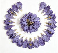Fleurs de lotus bleues séchées brutes, lys bleus égyptiens, fleurs entières pour formule de thé personnalisée