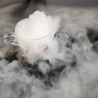 Petite machine à glace sèche, micro-machine alimentaire à CO2, machine à glace sèche au dioxyde de carbone, machine à glace sèche pour la cuisine, mélangeur à vin, machine à glace sèche pour la chaîne du froid