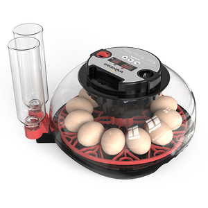 Incubadora de Huevos Inteligente con Volteo Automático, Probador LED, Pantalla Digital de Humedad <span class=keywords><strong>para</strong></span> Huevos de Aves, Gansos y Patos - Product Image 1
