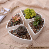 Pot de fleurs en céramique en forme de triangle à prix compétitif, blanc, moderne, décoratif, pour table