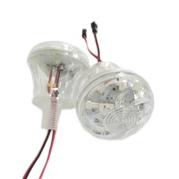 Fabricant Caméléon Cabochon 60mm AC24V Automatique Rgb Fairground Light Amusement Ferris Wheels Cabochon Light