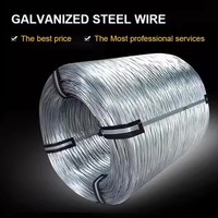 Fil de fer à ressort électrogalvanisé 2mm 3mm 3.5mm, fil de fer plat galvanisé Z121-Z180 Grade Q195/Q235 Norme GB