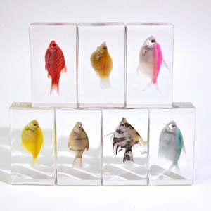 Bộ sưu tập động vật bằng nhựa <span class=keywords><strong>epoxy</strong></span> acrylic hình cá và vỏ sò dùng làm đồ trang trí đám cưới, đồ thủ công, quà tặng giáo dục, tài liệu dạy học - Product Image 5