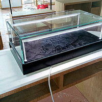 Factory Direct Gold Schmucke tui Counter Top Glas vitrine für Shop Table Premium Showcase für Store front