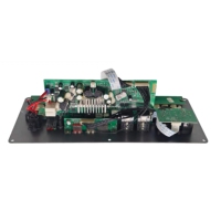 Carte amplificateur audio Bluetooth personnalisée avec entrée USB, carte TF, MP3, micro, guitare, panneau de contrôle de système de sonorisation karaoké OEM