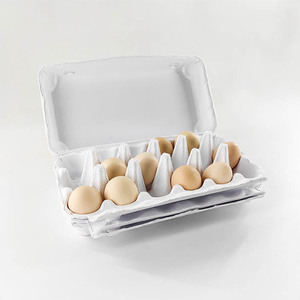 Wholesale Factory Creative Molded Pulp Packaging Paper Pulp Box Egg Cartons For Chicken Eggs