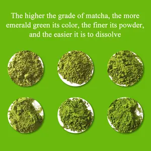 Chinaherbs bio-Matcha-Pulver Großhandel 100 % Reines Pulver grüner Tee te matcha organico zeremonialer Grad