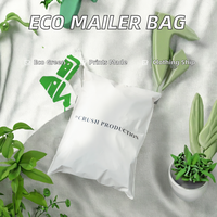 Sacs de Courrier Personnalisés en PE Biodégradable Imprimés sur Mesure – Enveloppes Polyvalentes Écologiques et Recyclables pour Chaussettes, Vêtements et Articles de Mode