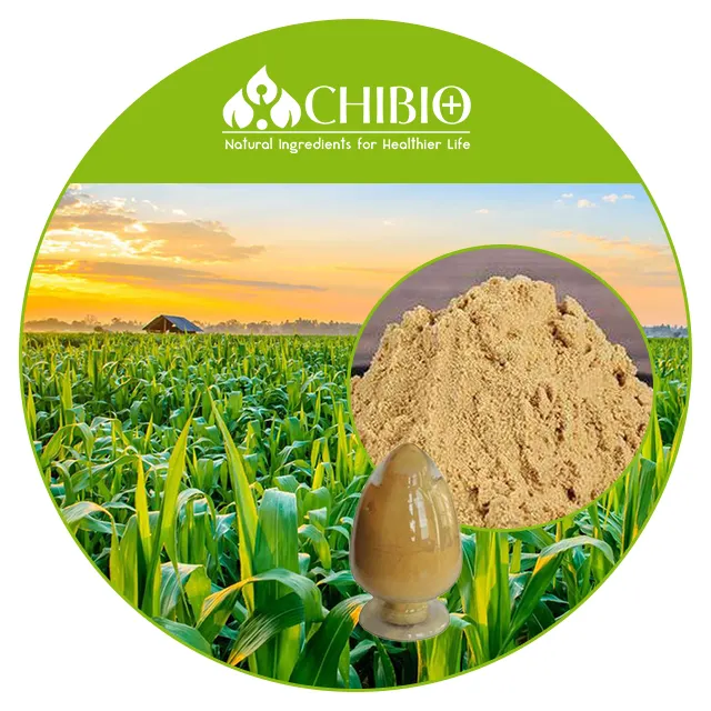 농업 제품을 위한 산업 급료 제조자 공급 제일 Chitosan Oligosaccharide 원료