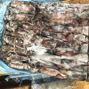 Calamar <span class=keywords><strong>géant</strong></span> congelé de bonne qualité <span class=keywords><strong>à</strong></span> bon <span class=keywords><strong>prix</strong></span> - Product Image 2