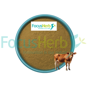 FocusHerb USA Warehouse Spot Wholesale New Zealand Grass Fed Organic Beef Pancreas Powder - Product Image 2