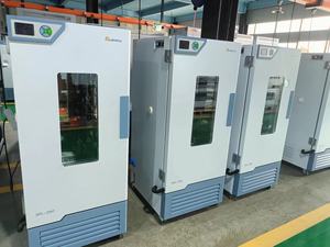 incubadora artificial digital de baixa temperatura e umidade, câmara de laboratório digital de baixo clima - Product Image 5