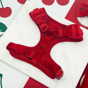 SinSky Ayarlanabilir Köpek Tasması Kapitone Kadife Özel Köpek Tasması Seti Kiraz İşlemeli Lüks Köpek Tasması ve Tasma Seti - Product Image 2