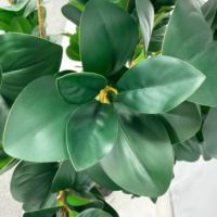 Arbre artificiel Pittosporum de 1,8 m (6 pieds) en gros, plante à petites feuilles artificielles pour la décoration de la maison, du bureau, du hall d'hôtel, du restaurant