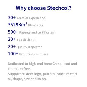 طقم فنجان وصحن قهوة بتصميم الزهور من Stechcol، مصنوع من الخزف الصيني الجديد (New Bone China)، مناسب للشاي والقهوة واللاتيه وقابل للتخصيص - Product Image 4