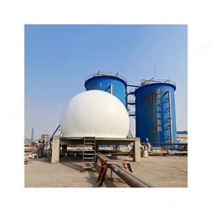 Fabbrica di HaiYue su misura industriale fossa settica Biogas digestore serbatoio 5kw impianto di Biogas per generare energia elettrica