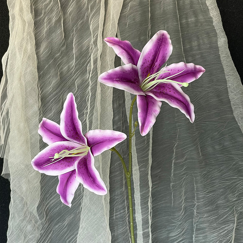Purple lily