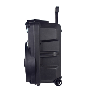 Altavoces grandes personalizados de 12 pulgadas, sistema de sonido <span class=keywords><strong>para</strong></span> dj al aire libre - Product Image 3