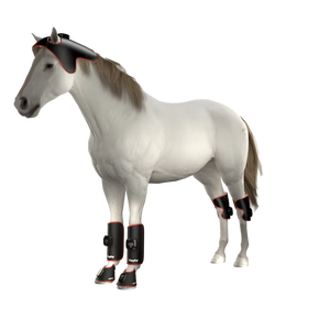 ผ้าห่มรักษาด้วย850nm 660nm แผ่นอินฟาเรดเครื่องมือสัตวแพทย์แผ่นรักษาม้าใหม่ล่าสุด - Product Image 1