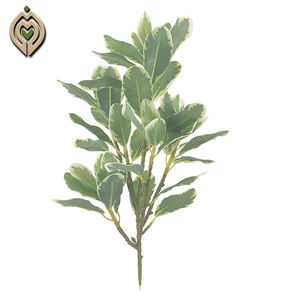 批发最优惠的价格绿色高品质中国制造真正的触摸新设计花园叶子人造植物 - Product Image 2