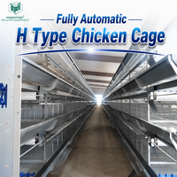 Cage à poules automatique de type H avec système d'alimentation, d'abreuvement, de collecte des œufs et d'évacuation du fumier pour élevage avicole
