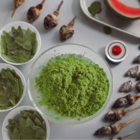 Poudre de Matcha Bio de Qualité Supérieure de Grade Cérémonial en Gros d'Usine, Thé en Vrac Frais avec Date d'Expiration Récente, Boîte Cadeau, Sachet Minceur
