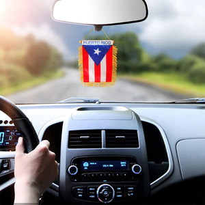 Drapeau national <span class=keywords><strong>de</strong></span> Porto Rico double face personnalisé <span class=keywords><strong>de</strong></span> 3x5 pouces petit drapeau <span class=keywords><strong>de</strong></span> fanion <span class=keywords><strong>de</strong></span> miroir <span class=keywords><strong>de</strong></span> voiture avec ventouse et <span class=keywords><strong>glands</strong></span> - Product Image 2