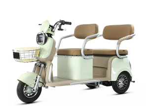 <span class=keywords><strong>Tricycle</strong></span> <span class=keywords><strong>électrique</strong></span> pliable 600W sans balais pour adultes, à 3 roues, à carrosserie ouverte, pour passagers handicapés, livraison rapide depuis la Chine - Product Image 4