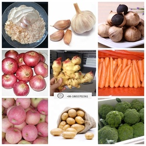 Nuovo raccolto di verdure biologiche fresche grossista carot/<span class=keywords><strong>semi</strong></span> di carota prezzo di <span class=keywords><strong>carote</strong></span> sfuse <span class=keywords><strong>per</strong></span> l'esportazione in cina - Product Image 6