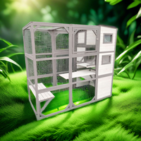 Grande cage en bois pour chat d'intérieur avec rampe et maison couverte