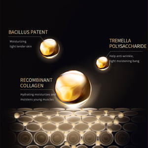 OEM/ODM <span class=keywords><strong>prix</strong></span> d'usine soins de la peau hydratant Anti-rides Anti-âge crème pour le visage graines de poisson <span class=keywords><strong>ADN</strong></span> sodium collagène crème raffermissante - Product Image 3