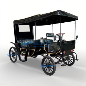 High Quality Pumpkin Princess Carriage Sightseeing Wedding Simple Dual Function Carriage Horse Drawn Electric Royal Carriage - Product Image 2