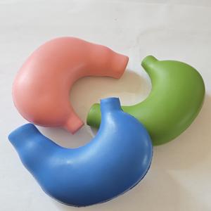 Poliuretana busa manusia Organ otak paru-paru Model bola tekanan hati Pendidikan perut Prop dekompresi bola stres - Product Image 6