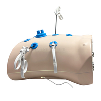 Ensemble de simulation laparoscopique SY-NS03 pour la formation en endoscopie