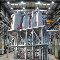Chaîne de production de jus de pomme clé en main de haute qualité, pasteurisateur automatique en SUS304, capacité de 0,5 à 20 T/H pour la transformation des fruits