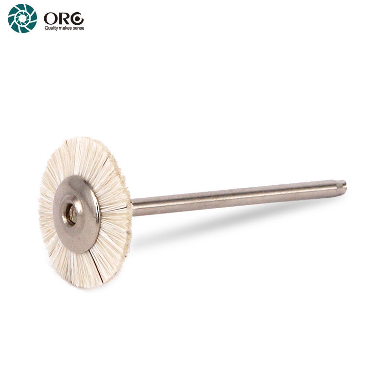 Crin de cheval blanc