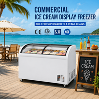 Congelador vertical continuo pequeño X-MING China con pantalla para helados, capacidad para 300 unidades