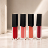 Gloss à lèvres liquide végétalien en tube rectangulaire transparent avec capuchon carré noir mat, applicateur floqué et plaque supérieure dorée, teintes rouge baie, vente en gros