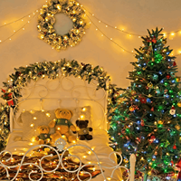Guirlande lumineuse LED bicolore à brancher avec télécommande, blanc chaud, changement de couleur Mticolor pour la décoration de Noël, de mariage, de patio, de chambre à coucher