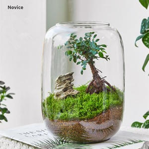 Moderne Kleine Vis Voor Tank Glazen Fles Ecologische Mosfles Lege Mini Desktop Ornament Met Micro-Landschapsontwerp - Product Image 1