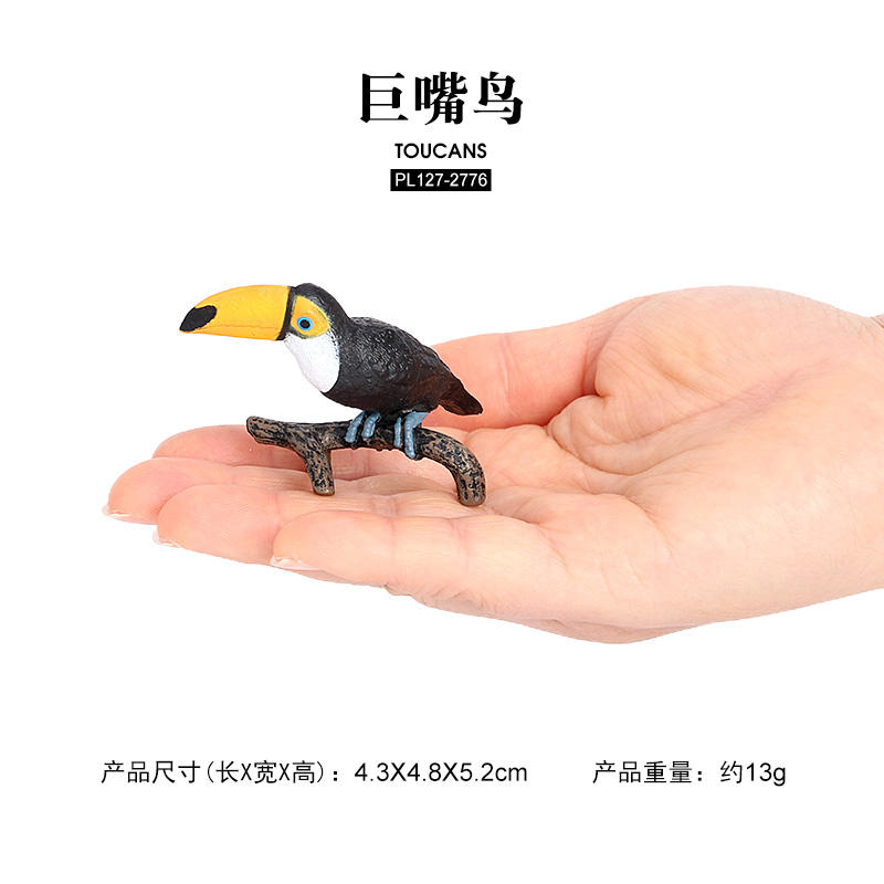 2776 Tucanes Pájaro