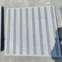 Dalles de pavage tactiles en granit durables et écologiques, directement de l'usine, pour trottoirs modernes sans obstacle et parcs extérieurs