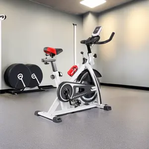Professionnel Home Cardio Training Exercice Air Magnétique Spin Bike Équipement De Gymnastique Fitness Intérieur Spinning Bike