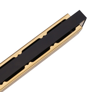 ฮาร์โมนิก้าไดอะโทนิก Futurestar 24 รู คีย์ C สำหรับผู้เริ่มต้น นักเรียน เด็ก ใช้ในห้องเรียน - Product Image 3