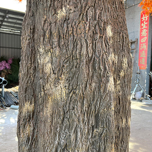 Nuovi Prodotti Grande Albero di Fiori Artificiali in Seta <span class=keywords><strong>Rosa</strong></span> per Decorazioni, Pianta Grande in Fibra di Vetro, Albero di Fiori di Ciliegio - Product Image 5