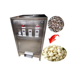 Professional stainless steel india garlic peeling machine for commercial use