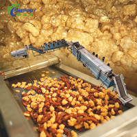 Ligne de production de friture à haute température Shepody pour peau de porc, capacité 100-300 kg/h, pour frites de poulet et peaux de porc