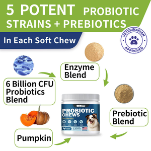 Los masticables probióticos para perros OEM promueven las enzimas digestivas probióticas y con prebióticos para la salud intestinal - Product Image 2